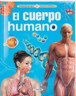 PREGUNTAS Y RESPUESTA EL CUERPO HUMANO