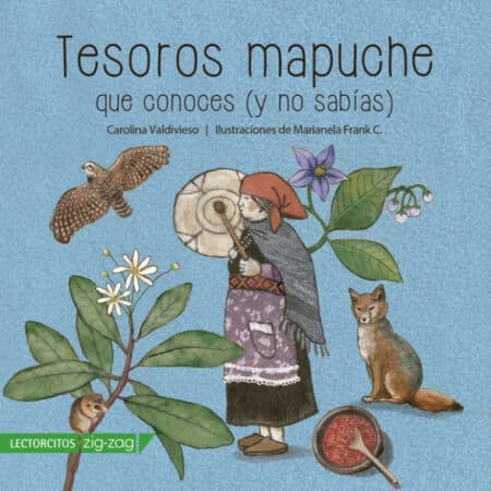 TESOROS MAPUCHE